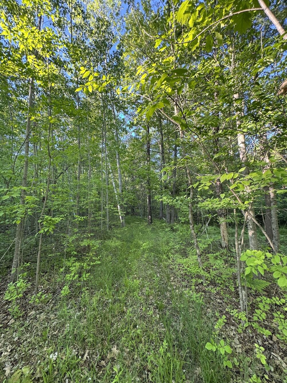 Vl Melcher Road Prescott, MI 48756 - Photo 55 of 65 IMG_3256
