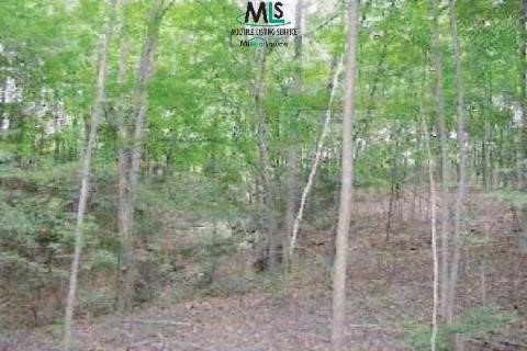 0 Burtch Road Jeddo, MI 48032 - Photo 1 of 1 885620.JPG