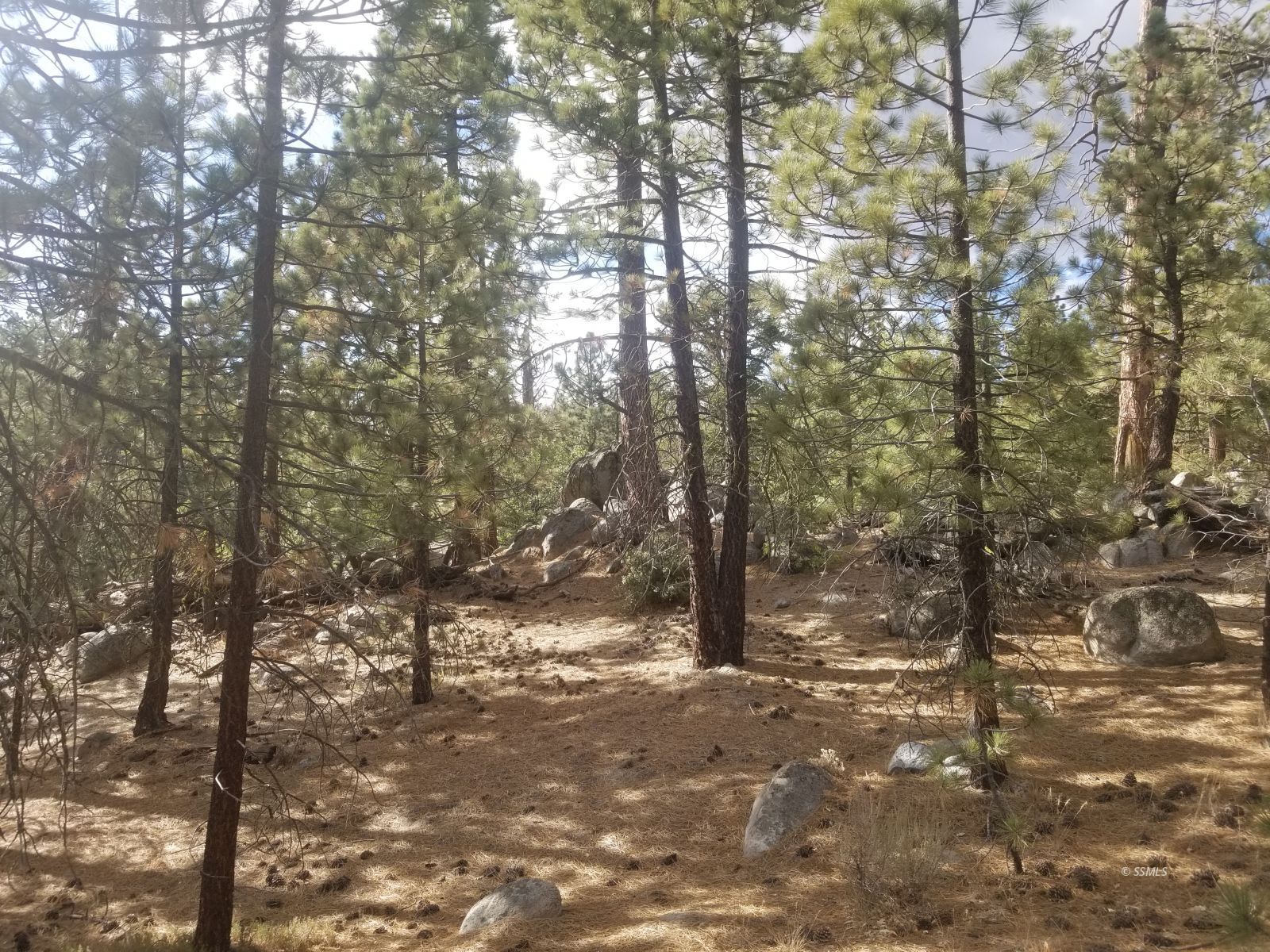 Piute Pines Caliente, CA 93518 - Photo 12 of 26