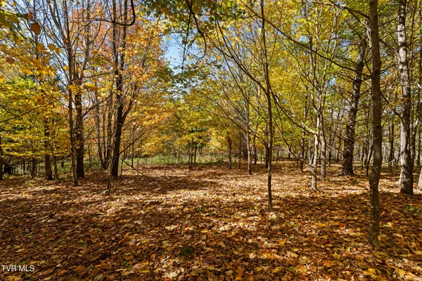 $425,000 | Tbd Tbd Modock Northeast Road, Unit 36C, Trade, TN 37691