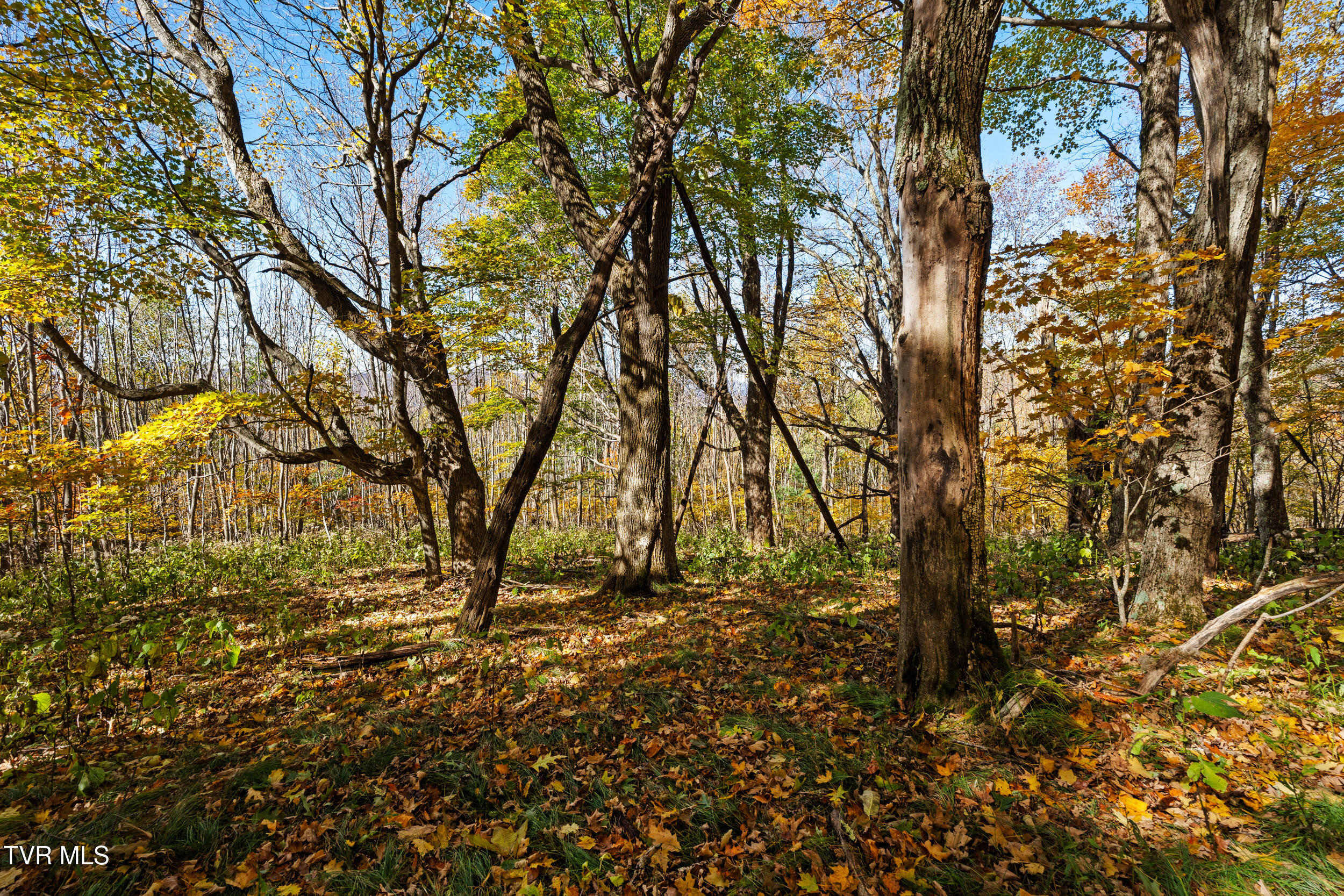 Tbd Tbd Modock Northeast Road, Unit 36C Trade, TN 37691 - Photo 11 of 14 Gail Sunalei 3