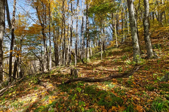 $425,000 | Tbd Tbd Modock Northeast Road, Unit 36C, Trade, TN 37691