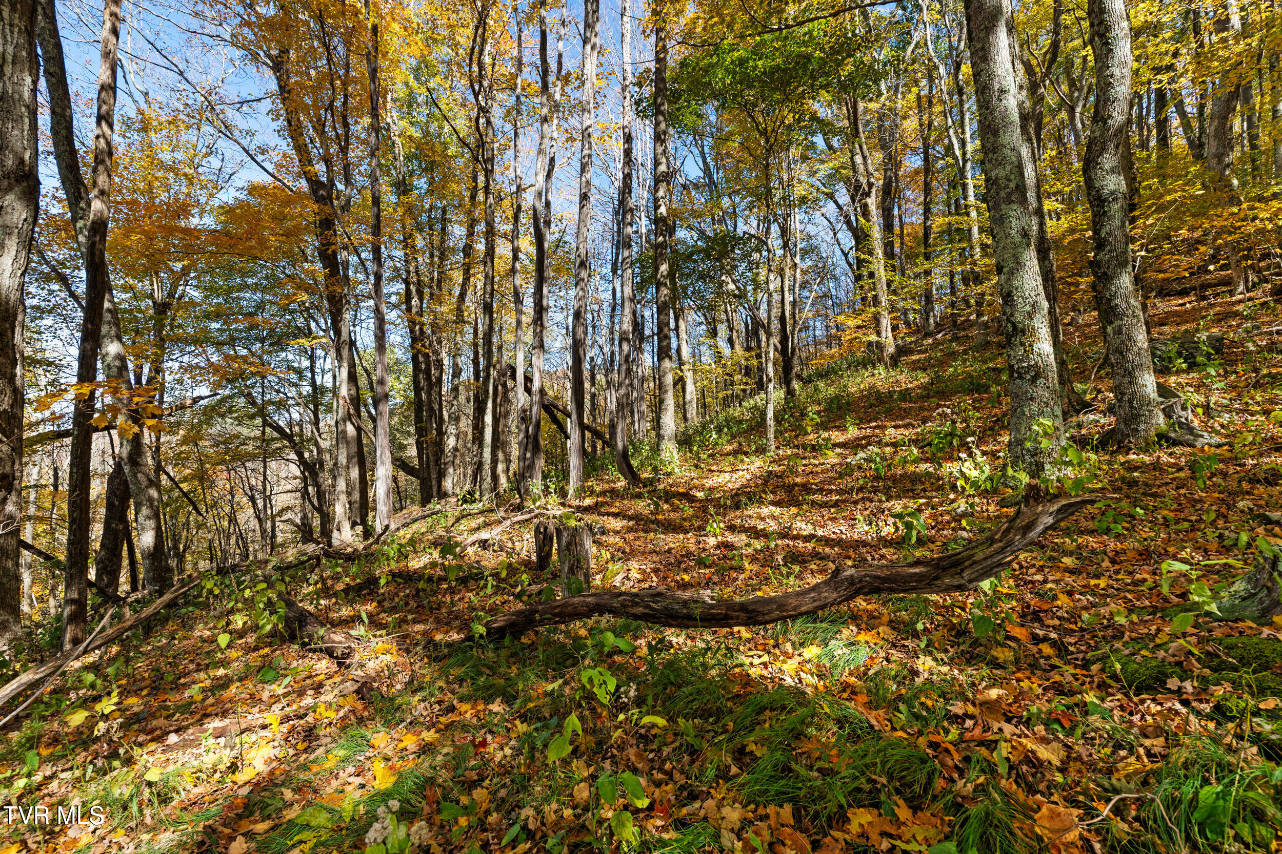 Tbd Tbd Modock Northeast Road, Unit 36C Trade, TN 37691 - Photo 2 of 14 Gail Sunalei 4