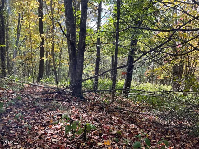 $425,000 | Tbd Tbd Modock Northeast Road, Unit 36C, Trade, TN 37691