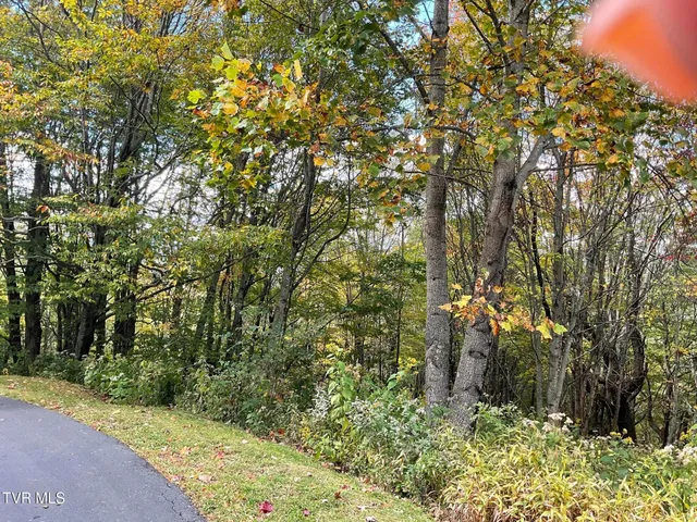 $425,000 | Tbd Tbd Modock Northeast Road, Unit 36C, Trade, TN 37691