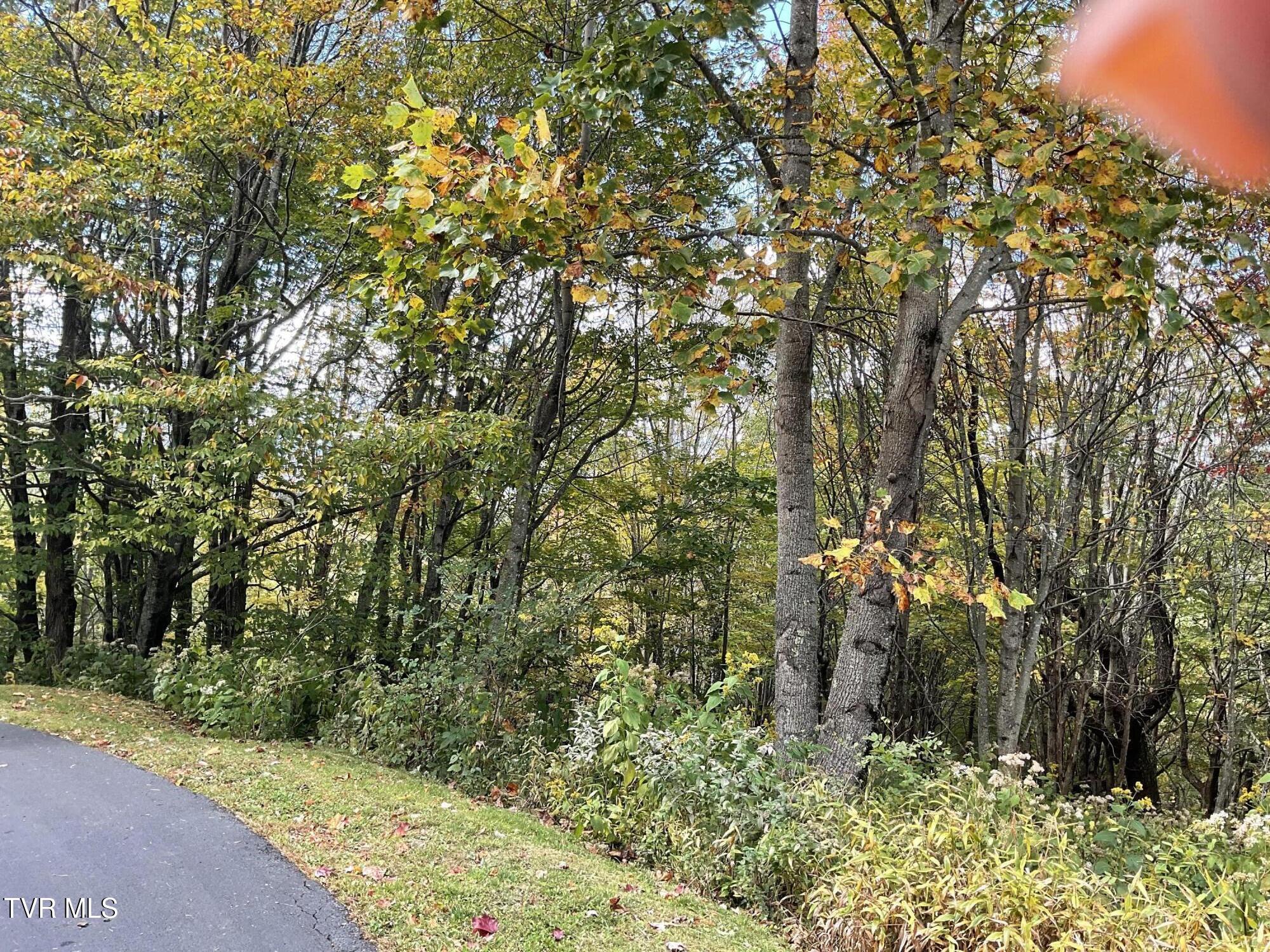 Tbd Tbd Modock Northeast Road, Unit 36C Trade, TN 37691 - Photo 4 of 14 IMG_1543