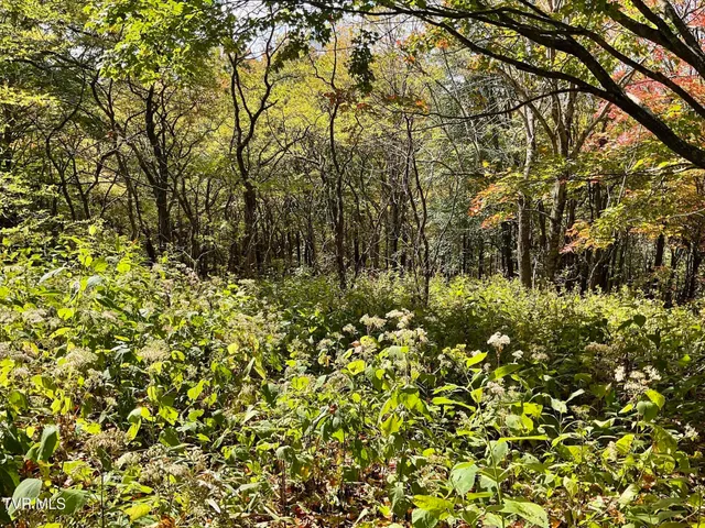 $425,000 | Tbd Tbd Modock Northeast Road, Unit 36C, Trade, TN 37691