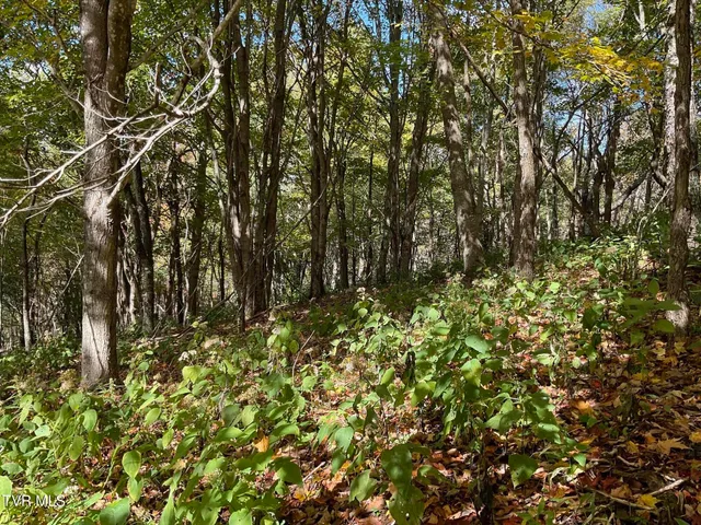 $425,000 | Tbd Tbd Modock Northeast Road, Unit 36C, Trade, TN 37691