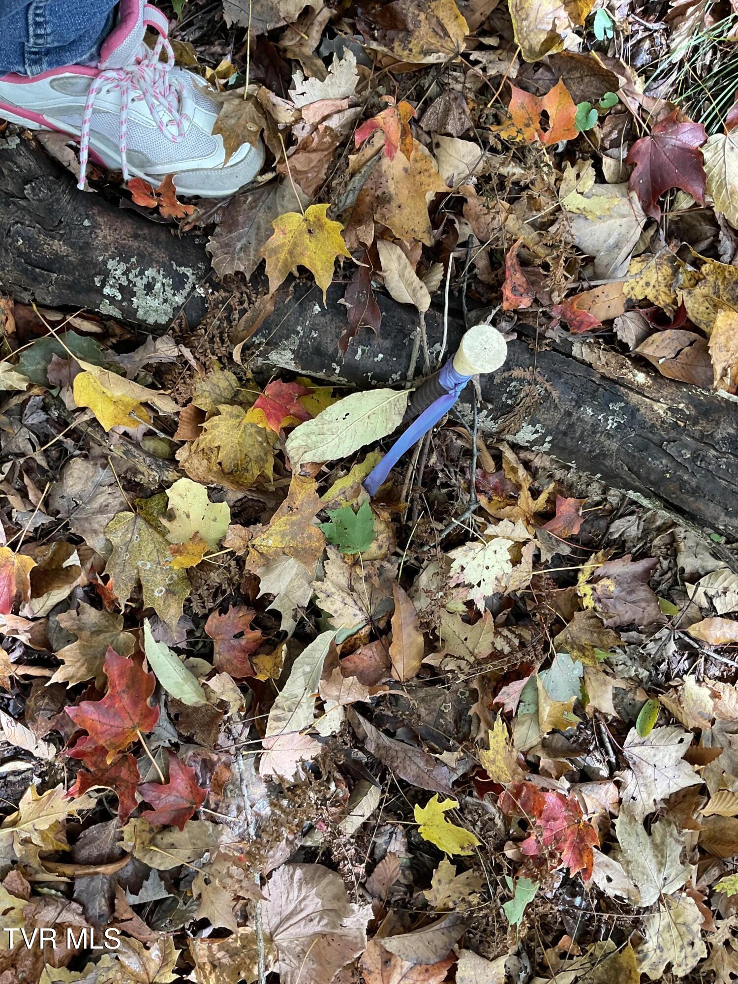 Tbd Tbd Modock Northeast Road, Unit 36C Trade, TN 37691 - Photo 7 of 14 IMG_1545