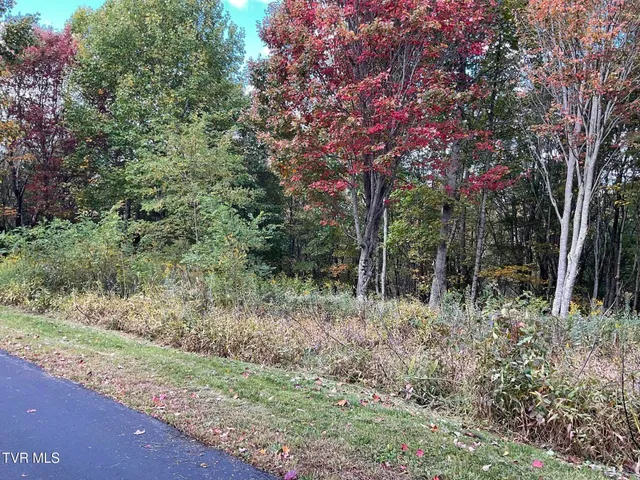 $425,000 | Tbd Tbd Modock Northeast Road, Unit 36C, Trade, TN 37691