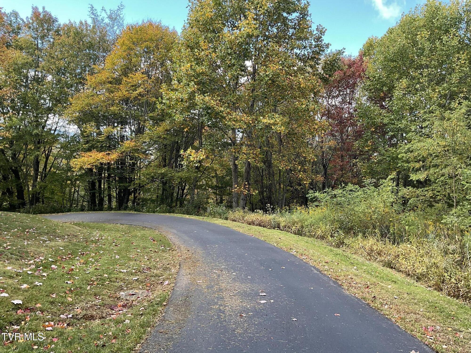 Tbd Tbd Modock Northeast Road, Unit 36C Trade, TN 37691 - Photo 9 of 14 IMG_1542