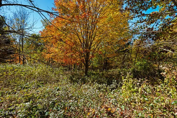 $425,000 | Tbd Tbd Modock Northeast Road, Unit 36C, Trade, TN 37691