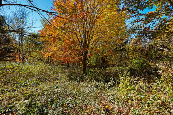 Tbd Tbd Modock Northeast Road, Unit 36C Trade, TN 37691 - Photo 10 of 14 Gail Sunalei 1