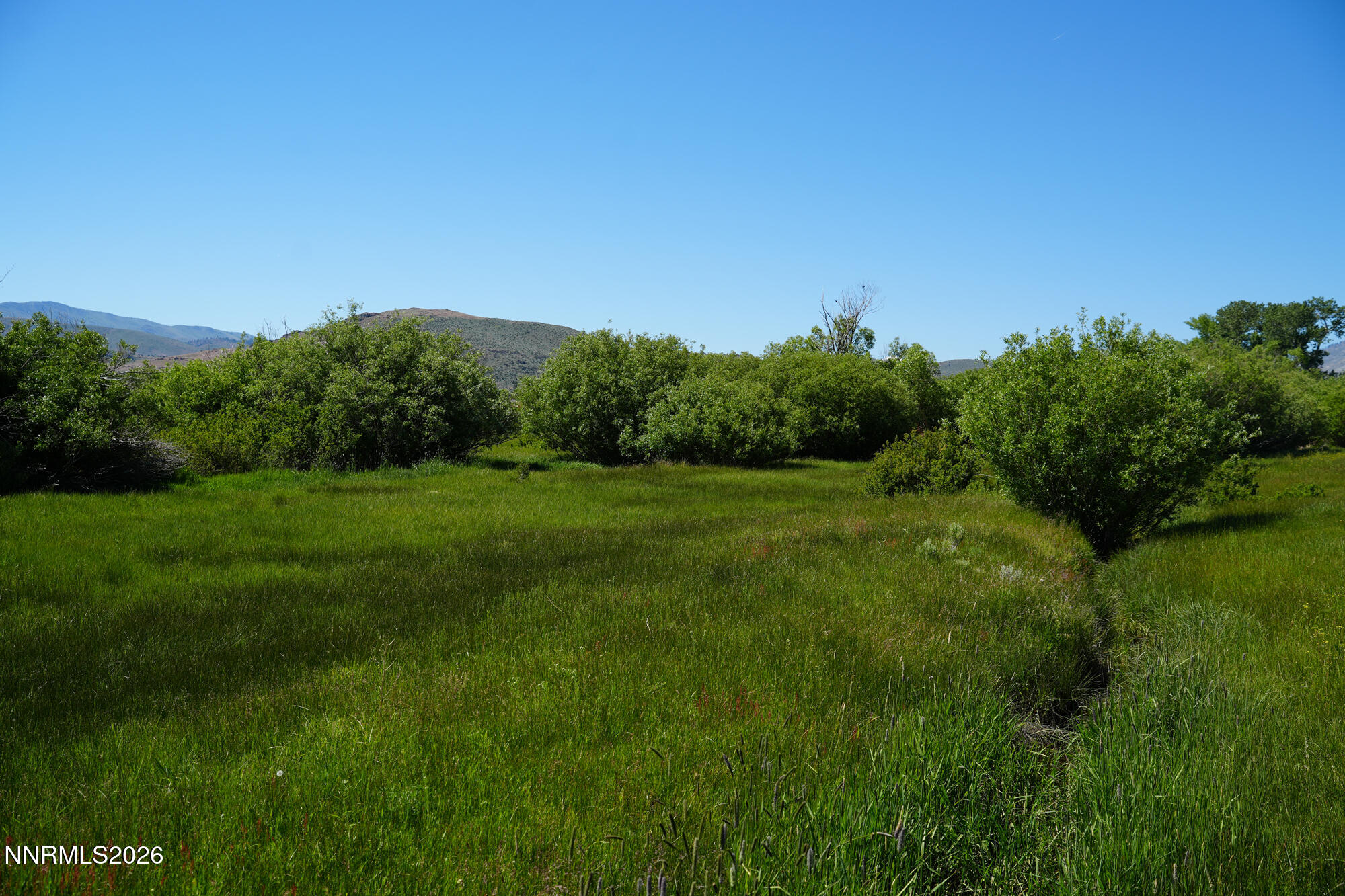60 Old Chambers Road Markleeville, CA 96120 - Photo 9 of 30 07