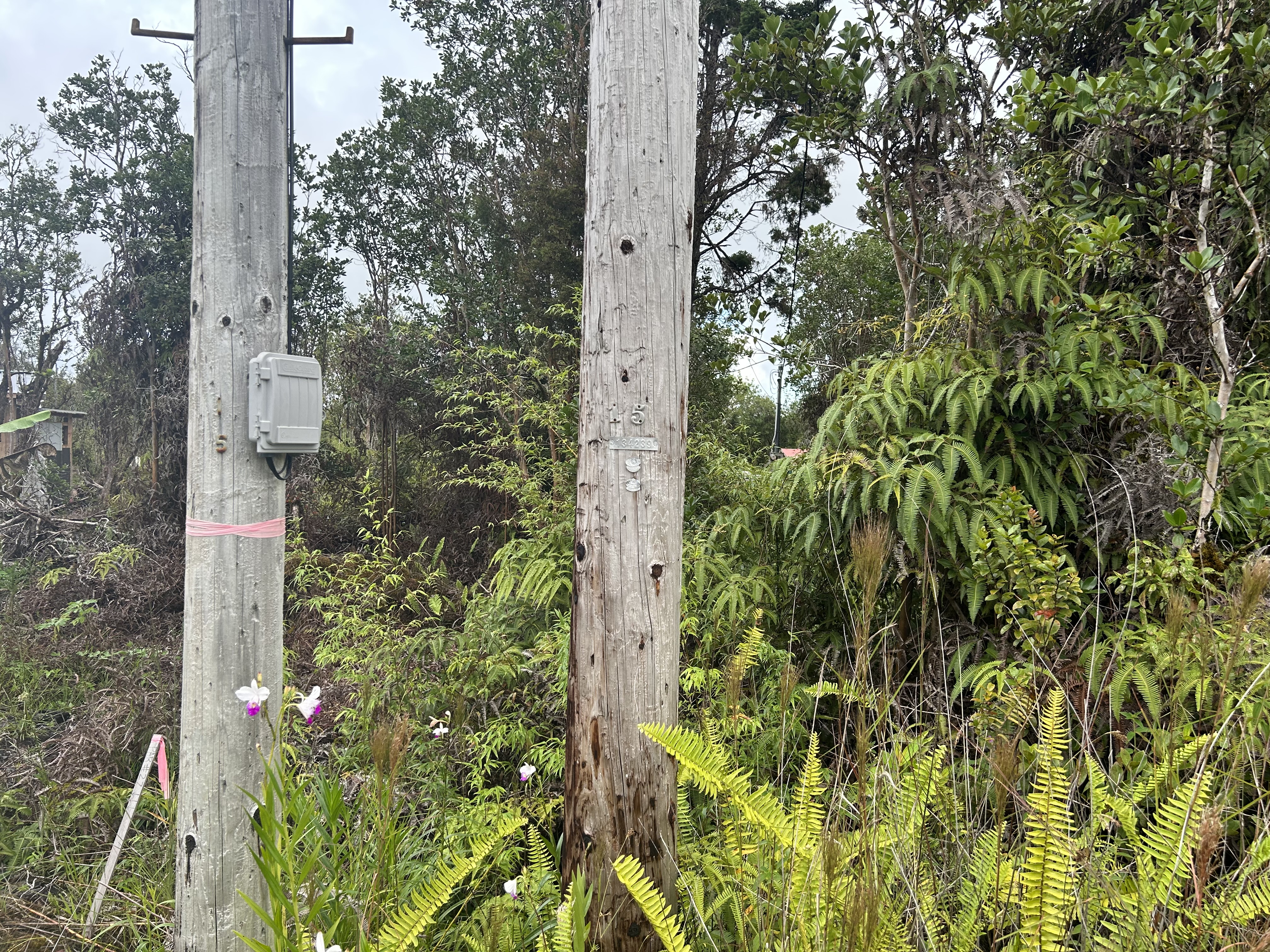 11-1234 Lot 27 Ala Naulani Road Pahoa, HI 96778 - Photo 4 of 4