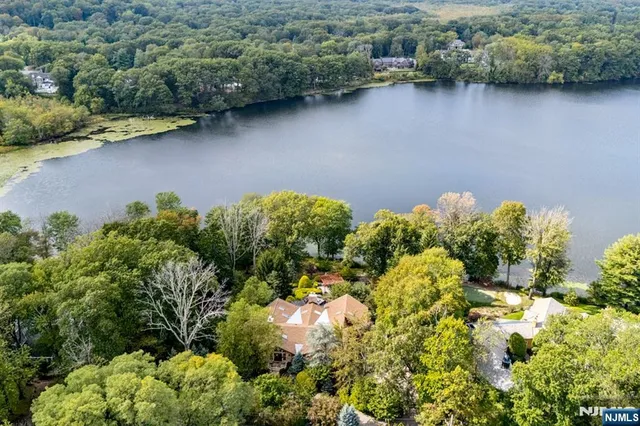 a picture of a lake with a green field and plants