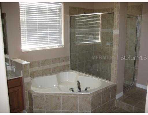4562 Indian Deer Road Windermere, FL 34786 - Photo 8 of 10 Master Bath/Spa