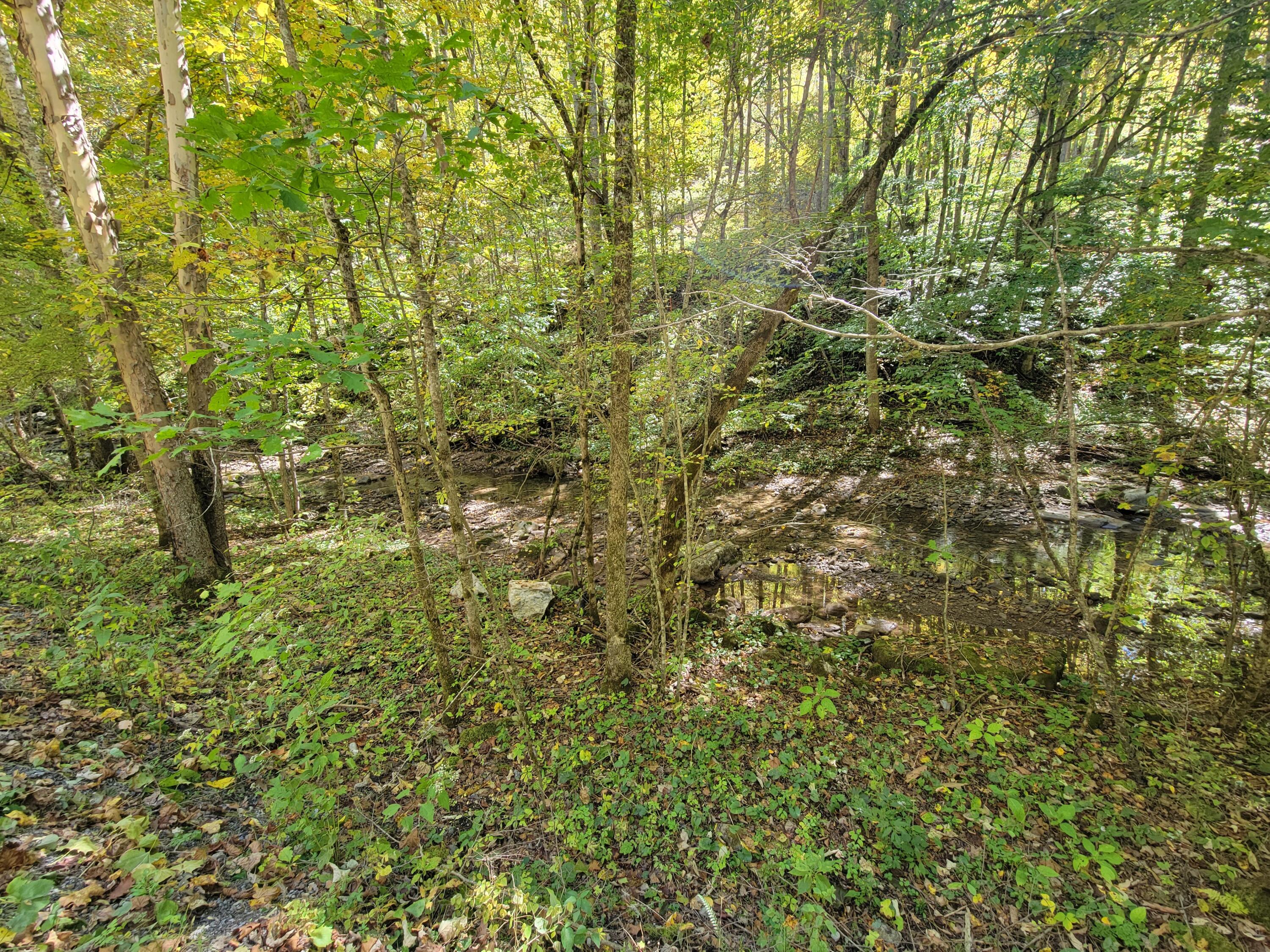 Robins Fork Road Renick, WV 24966 - Photo 14 of 34 Gallery Image 14