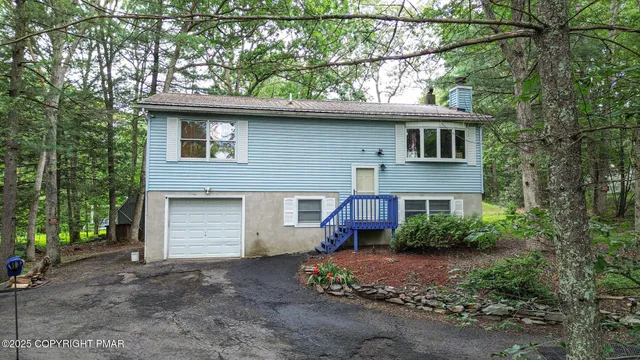 a view of a house with a yard plants and large tree