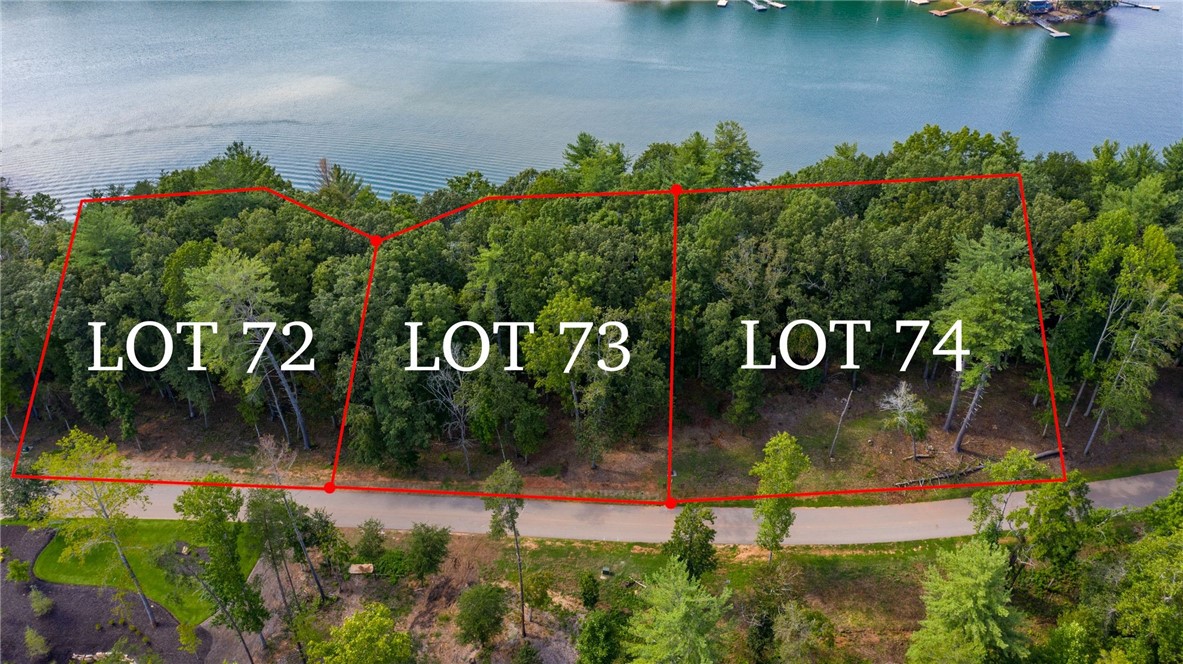 458 Peninsula Ridge Sunset, SC 29685 - Photo 2 of 11 Property lines depicted on aerial photographs may