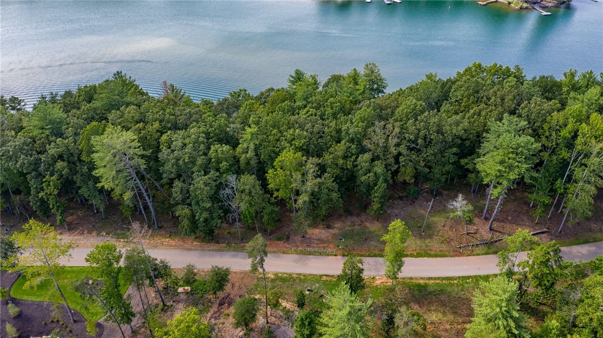 458 Peninsula Ridge Sunset, SC 29685 - Photo 3 of 11