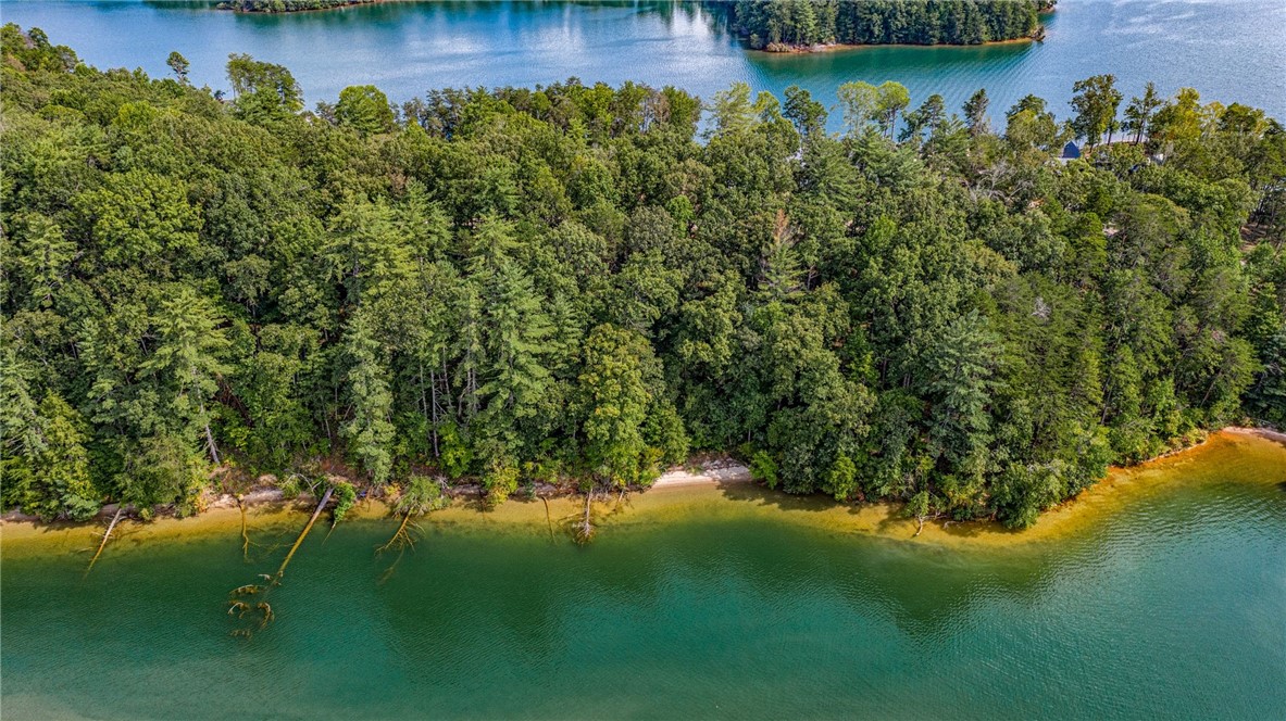 458 Peninsula Ridge Sunset, SC 29685 - Photo 4 of 11