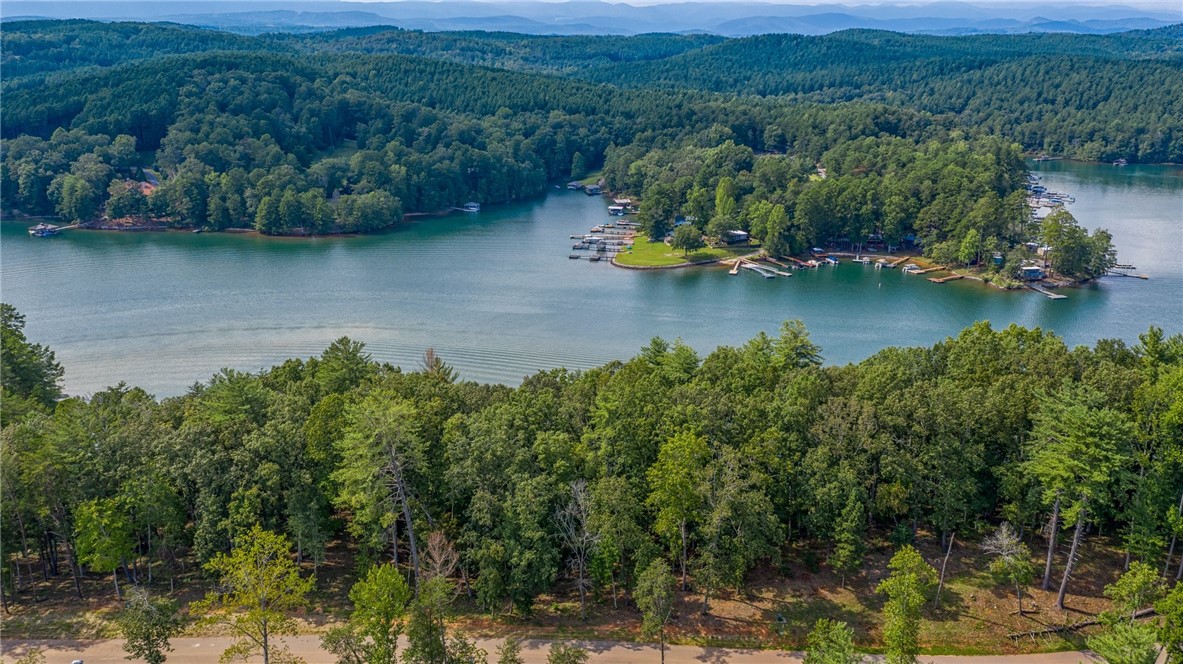 458 Peninsula Ridge Sunset, SC 29685 - Photo 6 of 11