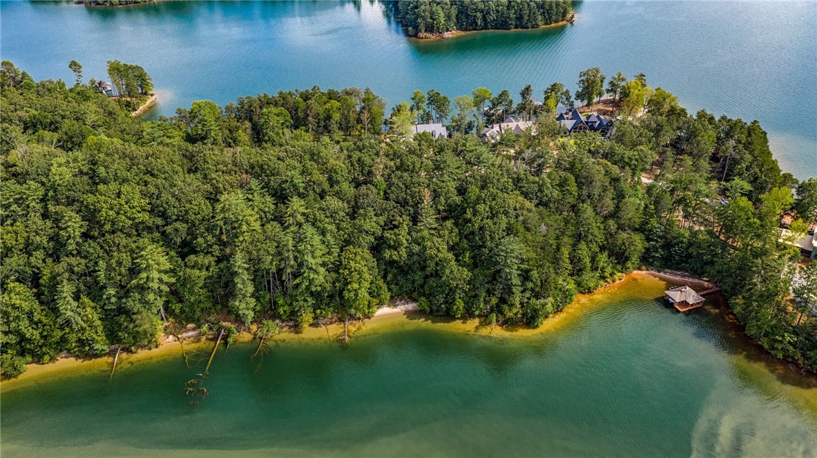 458 Peninsula Ridge Sunset, SC 29685 - Photo 8 of 11