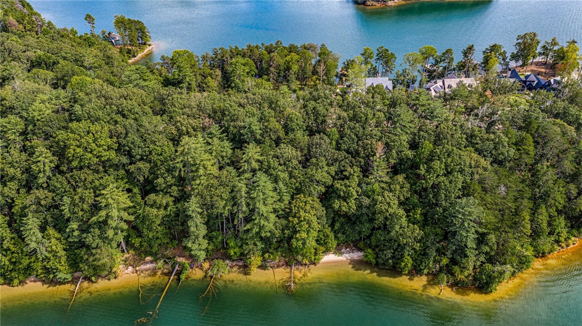 458 Peninsula Ridge Sunset, SC 29685 - Photo 9 of 11