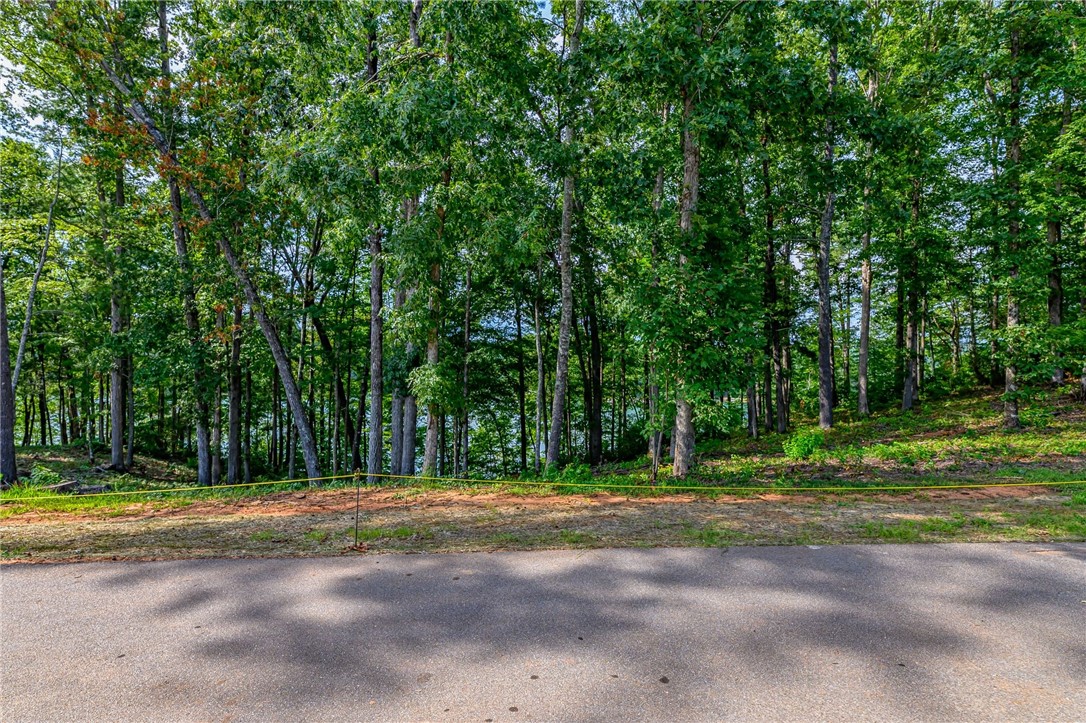 458 Peninsula Ridge Sunset, SC 29685 - Photo 10 of 11