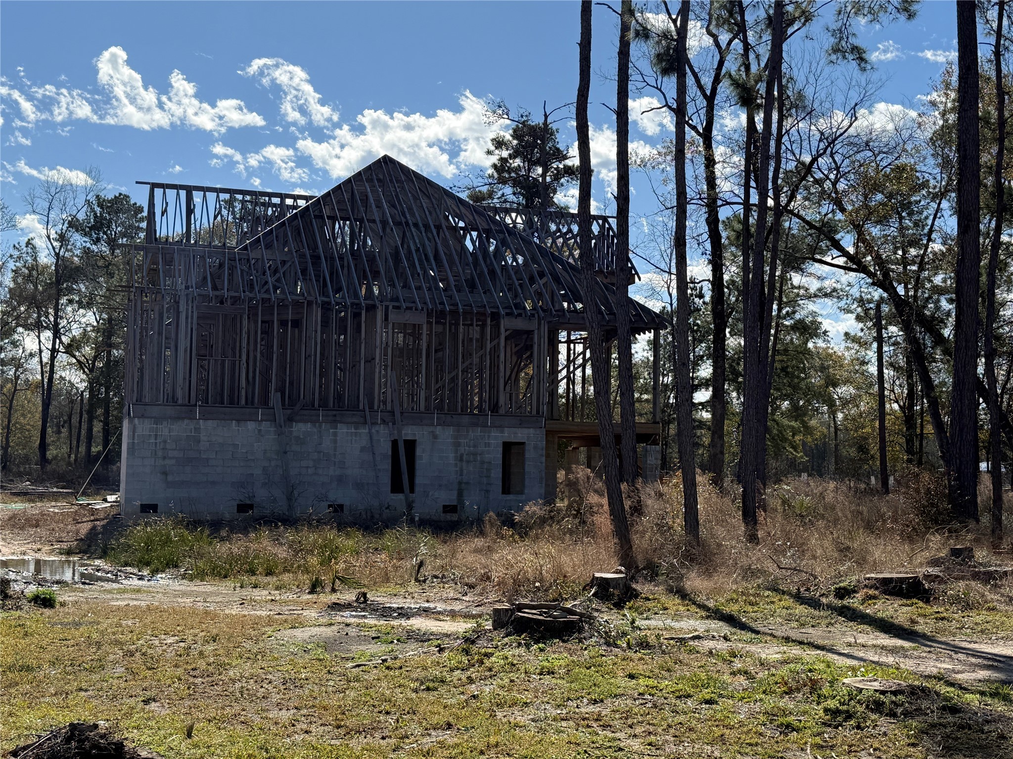 10181 Ehlers Road Conroe, TX 77302 - Photo 4 of 9 a view of a house with a yard