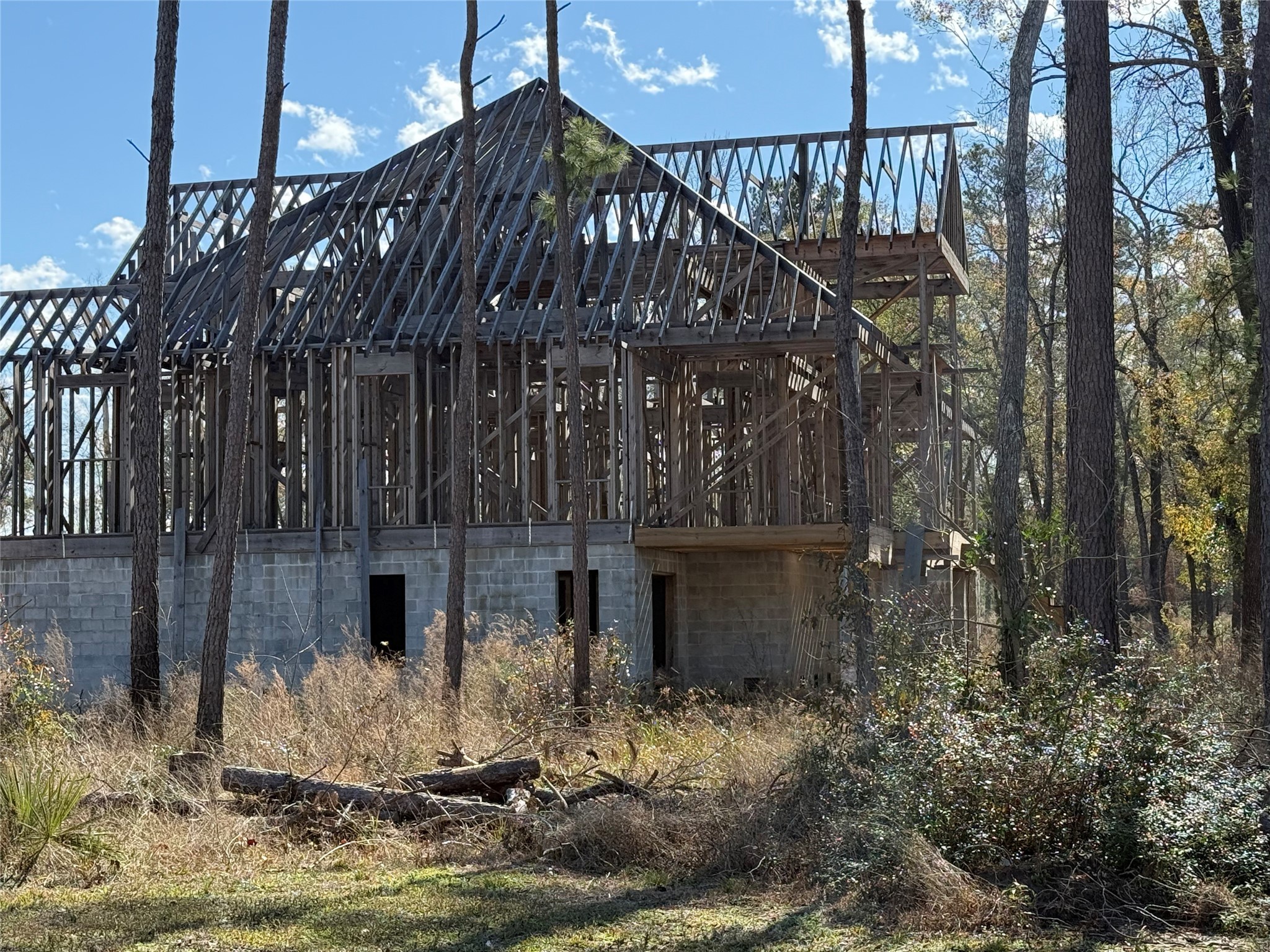 10181 Ehlers Road Conroe, TX 77302 - Photo 5 of 9 a view of house with yard and covered with trees