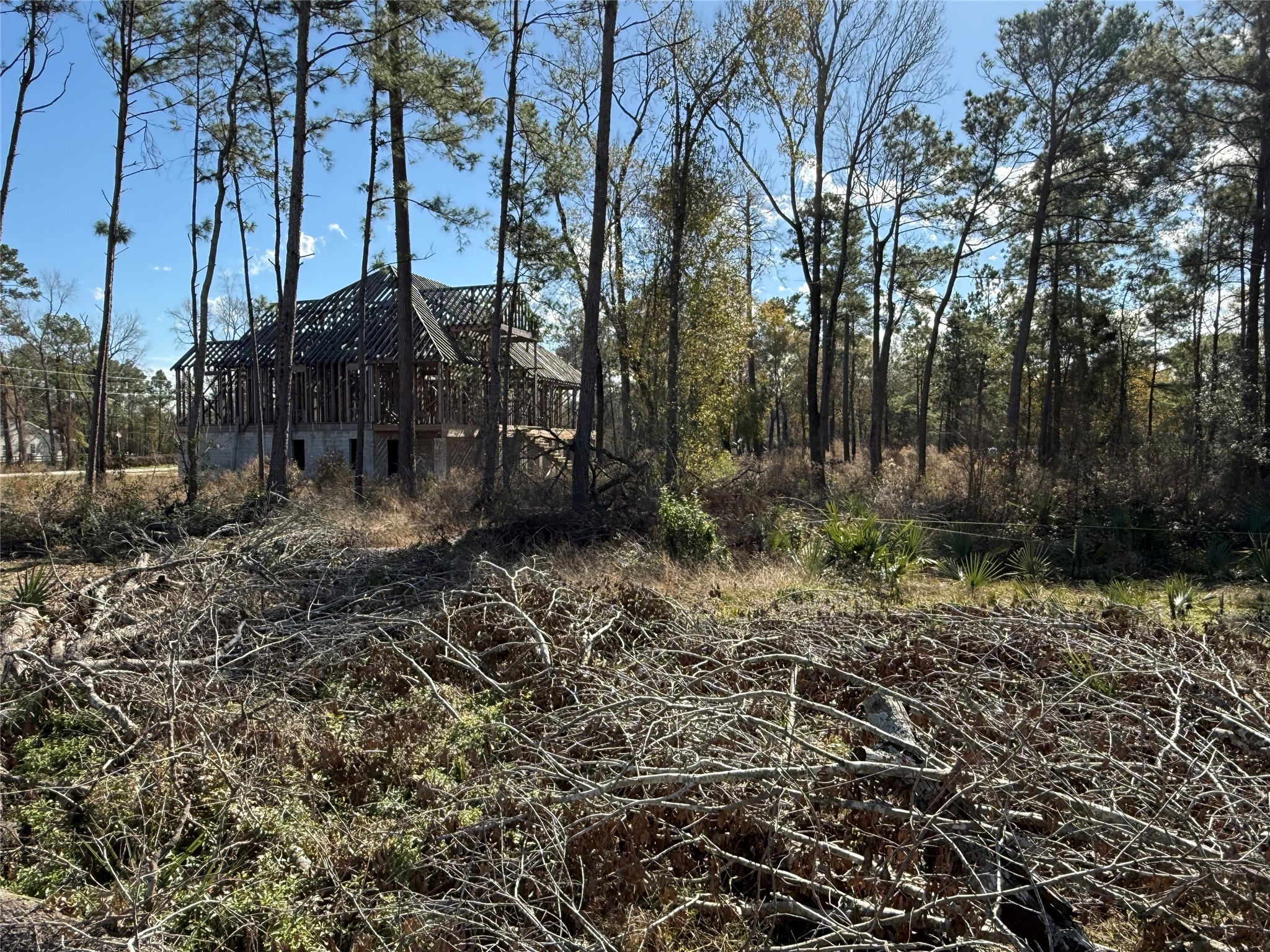 10181 Ehlers Road Conroe, TX 77302 - Photo 8 of 9 a backyard of a house with lots of green space
