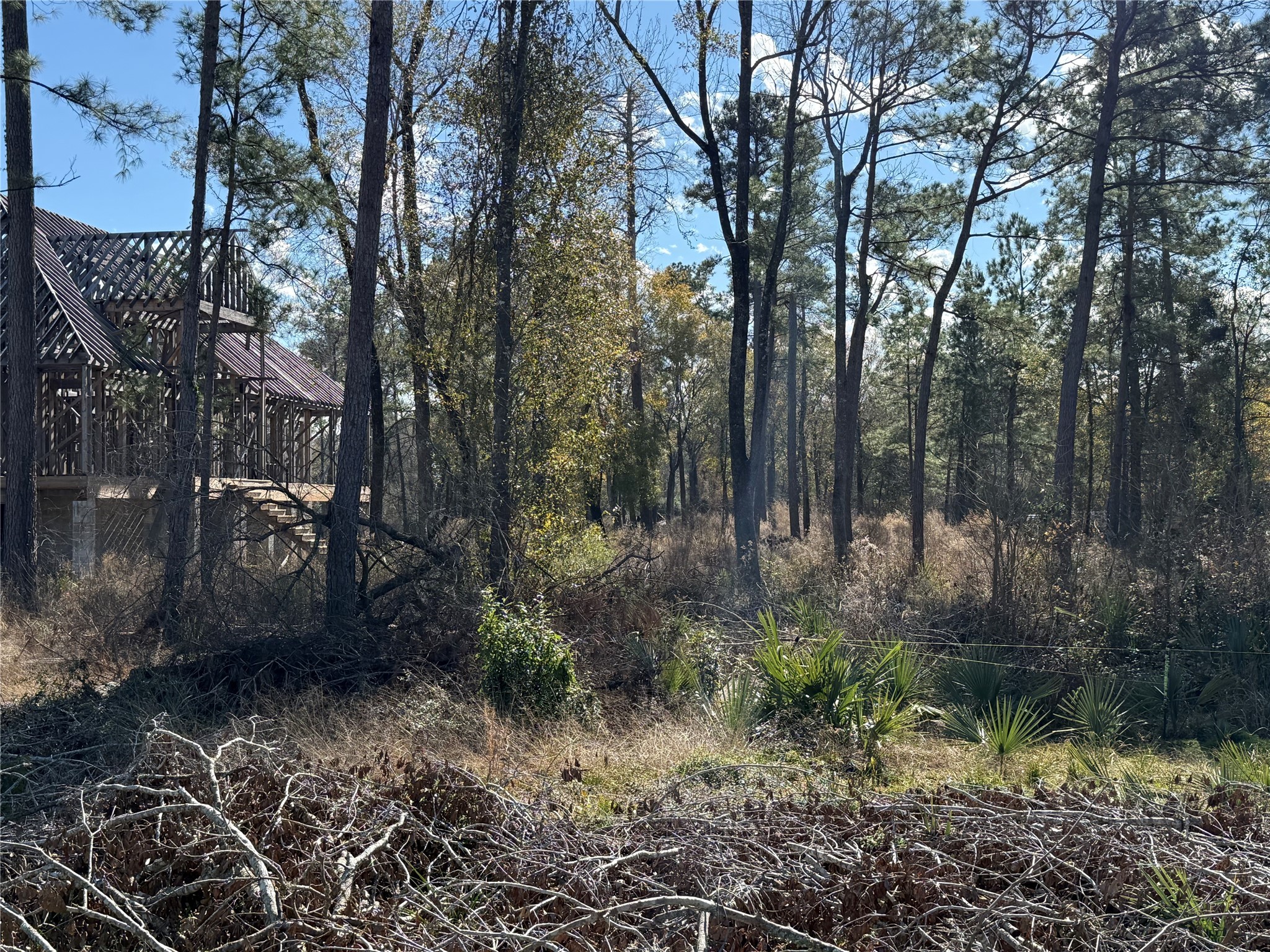 10181 Ehlers Road Conroe, TX 77302 - Photo 9 of 9 a view of backyard with green space