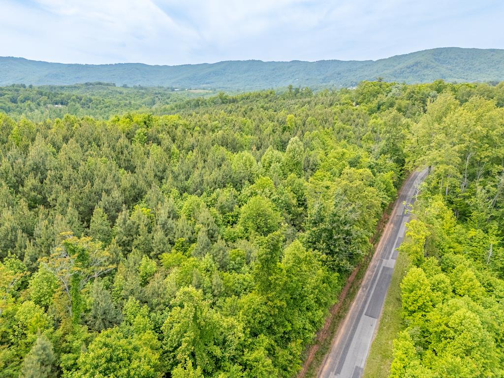 Tbd Ahart Ridge Road, Unit 58 60 61 Ararat, VA 24053 - Photo 12 of 54 Gallery Image 12