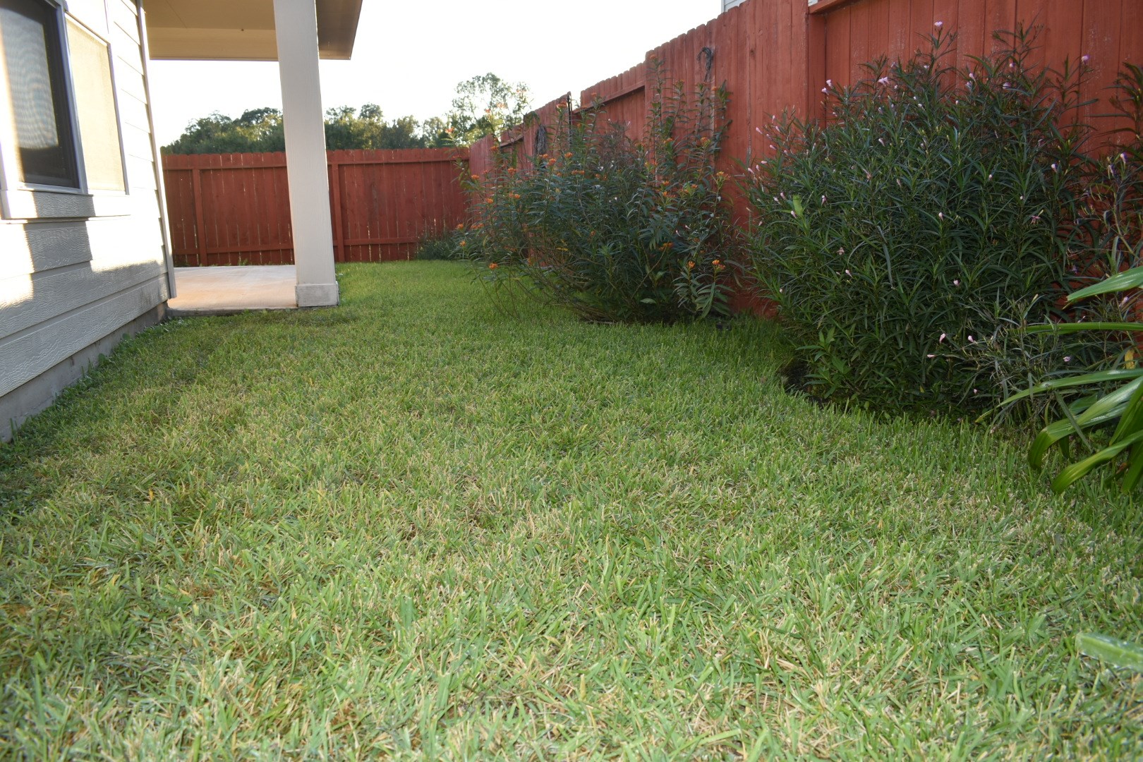 3526 Lily Ranch Drive Katy, TX 77494 - Photo 21 of 23 Backyard.