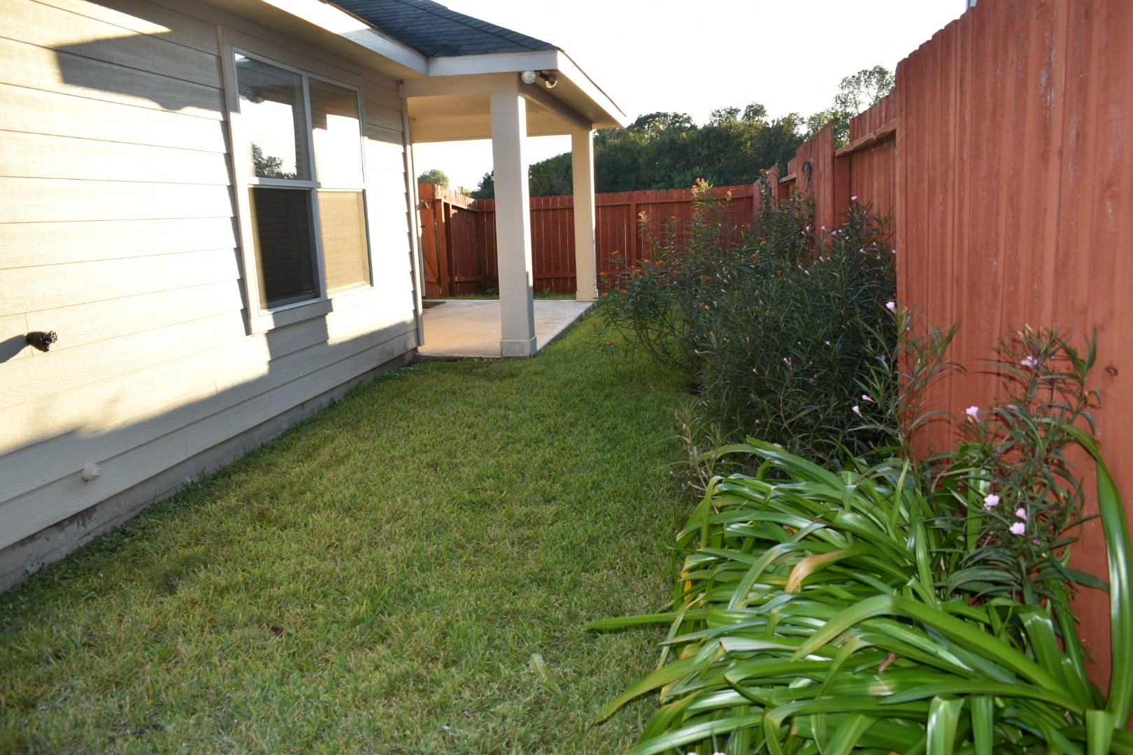 3526 Lily Ranch Drive Katy, TX 77494 - Photo 22 of 23 Backyard with a nice patio.