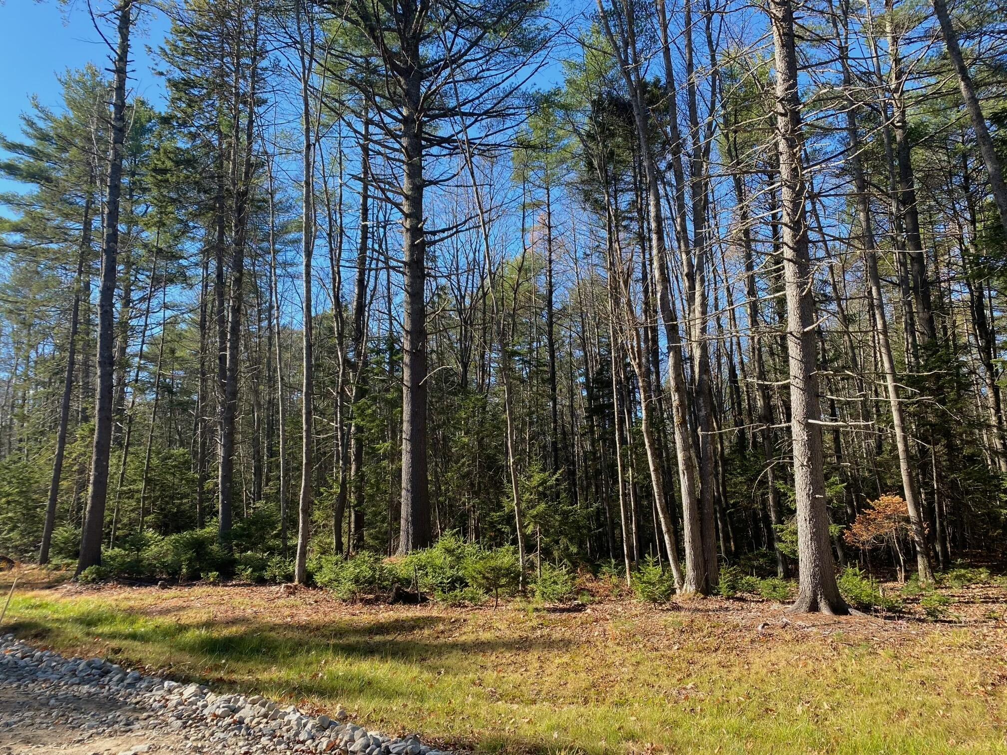 Lot B Lot B Tbd Off Beach Hill Road Freeport, ME 04032 - Photo 1 of 1 Lot 2 TBD Beach Hill Rd