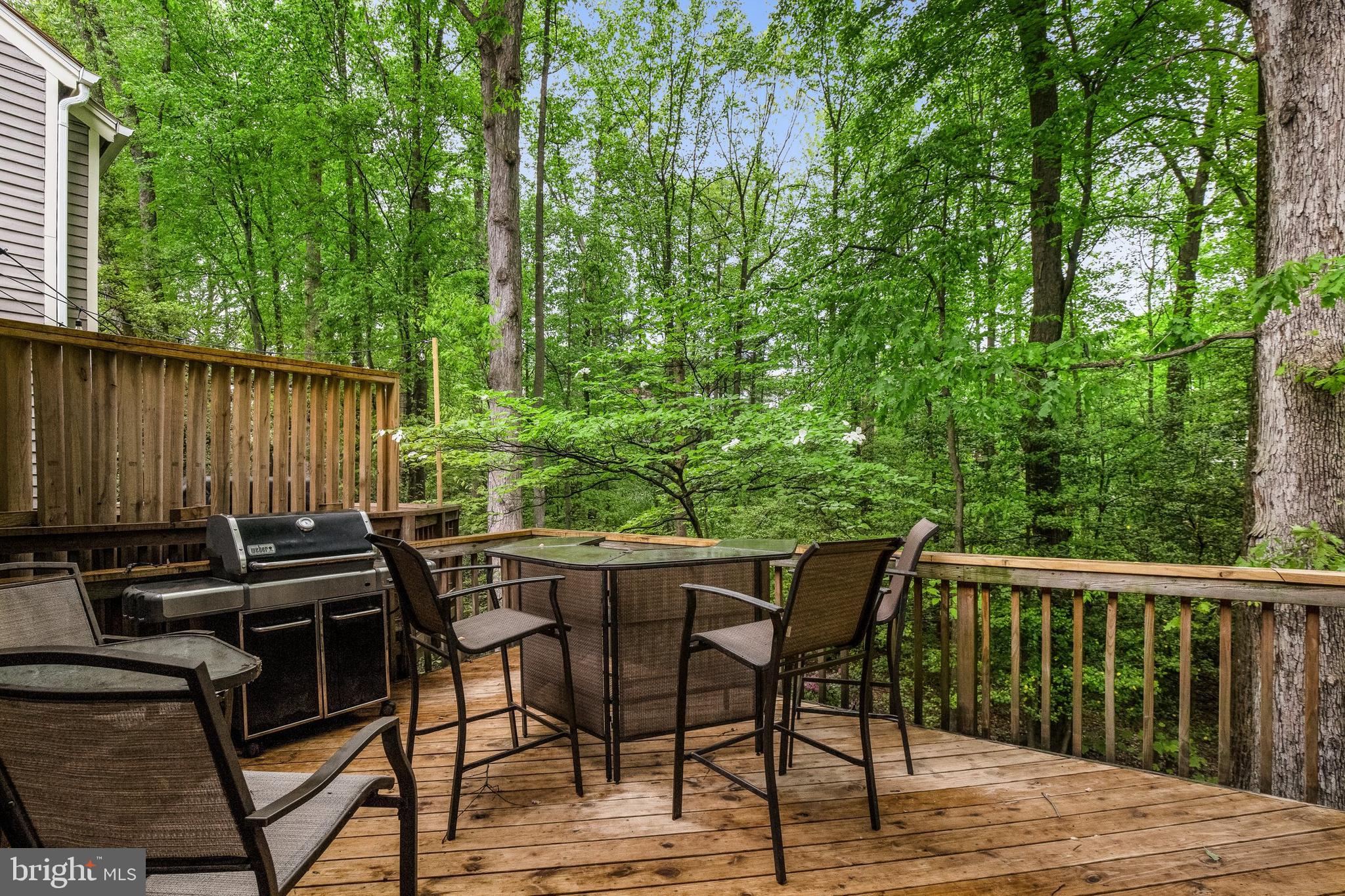 11604 Chapel Cross Way Reston, VA 20194 - Photo 44 of 45 Gallery Image 44
