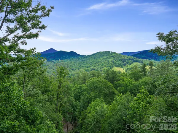 a view of a mountain range with lush green forest