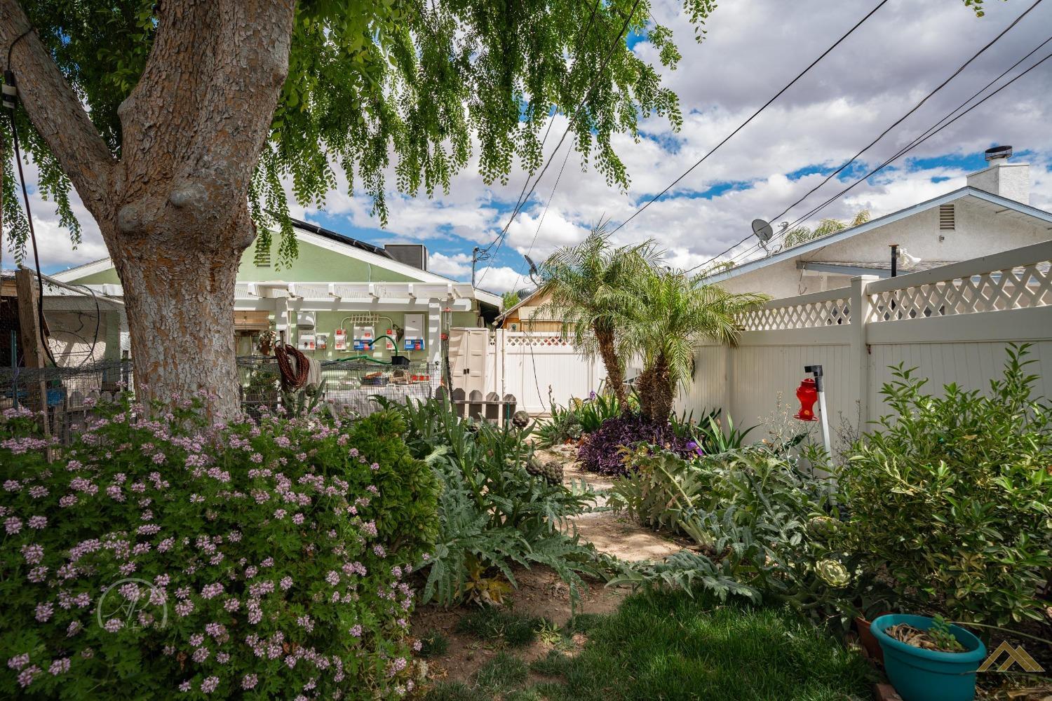 Undisclosed Address Taft, CA 93268 - Photo 16 of 21 a picture of plants