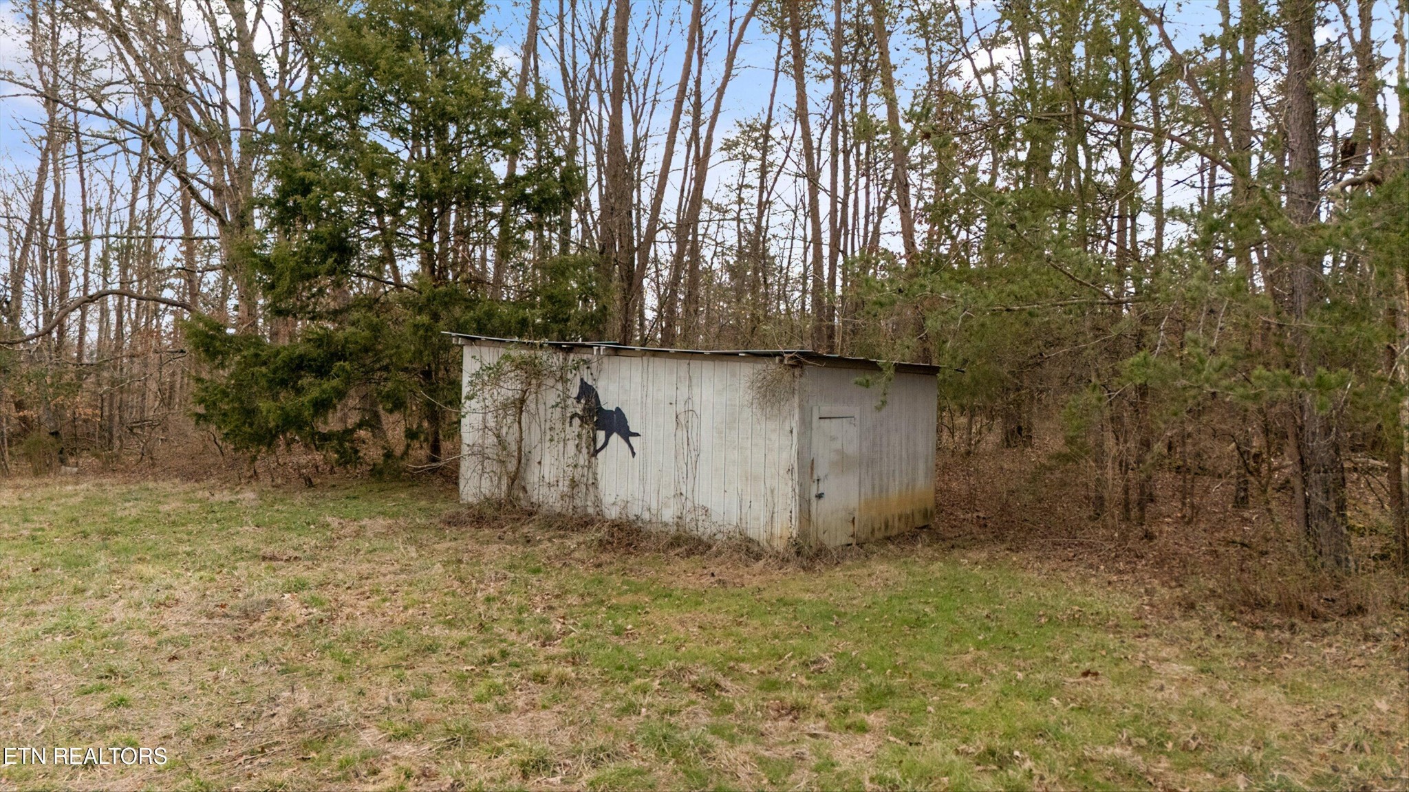 0 Pine Grove Road Knoxville, TN 37914 - Photo 14 of 14 a view of backyard