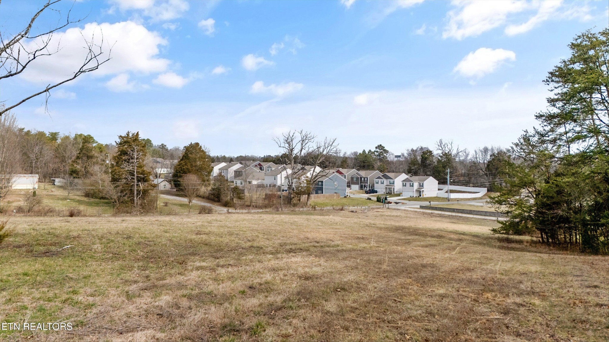 0 Pine Grove Road Knoxville, TN 37914 - Photo 4 of 14 a view of a dry yard with trees