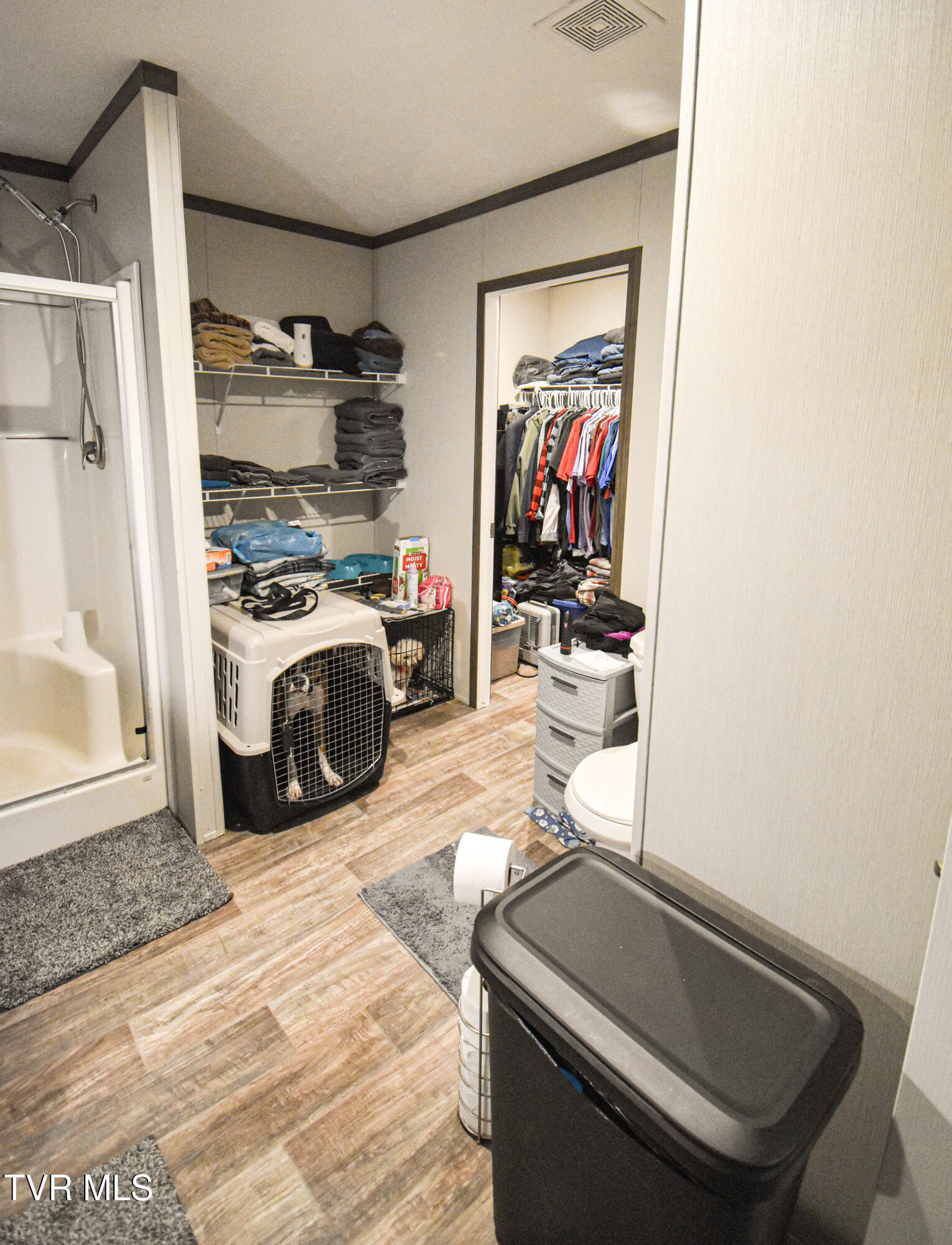 255 Rolling Hills Road Church Hill, TN 37642 - Photo 16 of 53 primarybath3