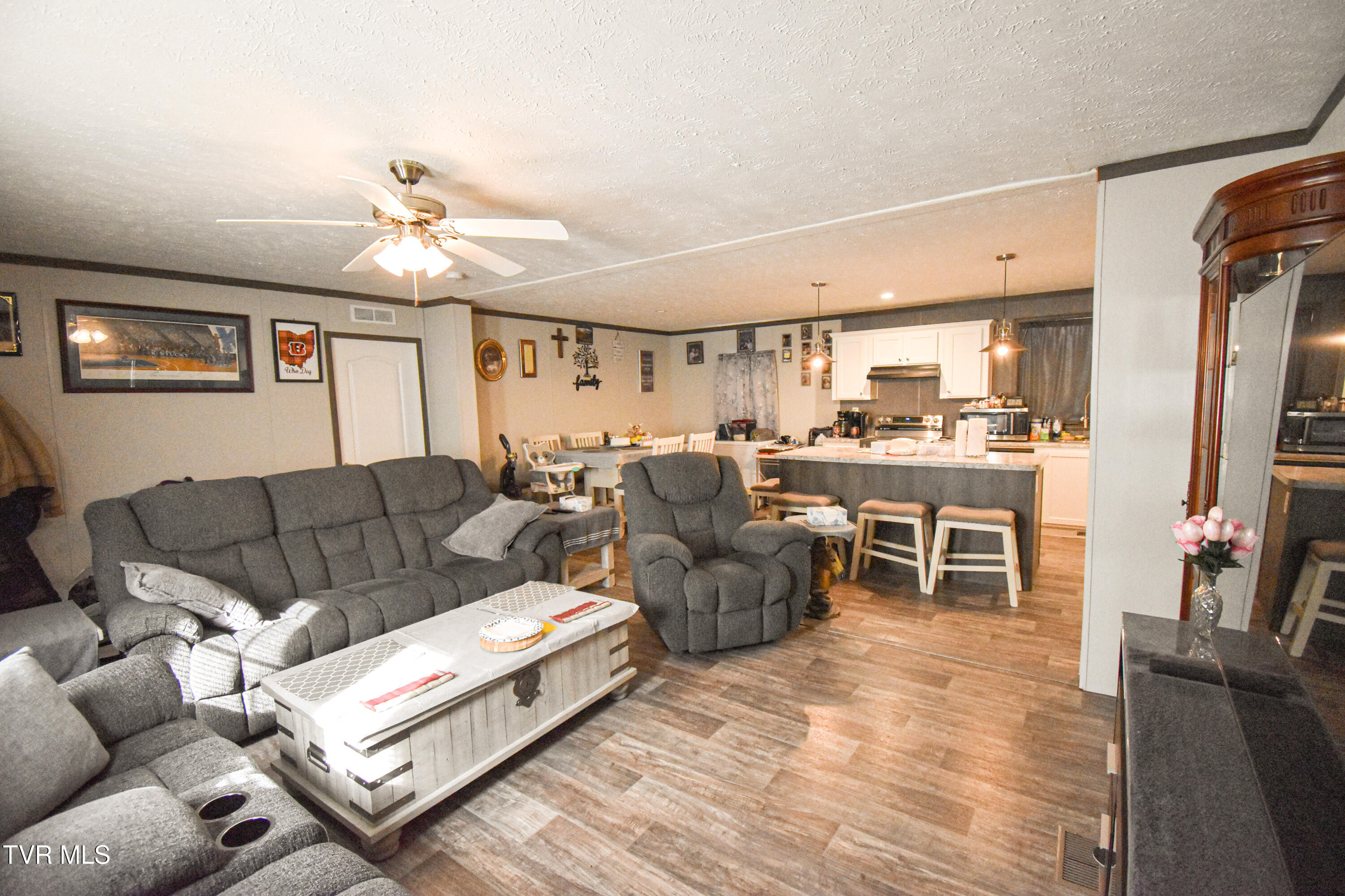 255 Rolling Hills Road Church Hill, TN 37642 - Photo 3 of 53 living room
