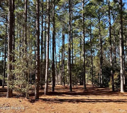 $65,000 | 195 Erfie Drive North, Pinebluff, NC 28373