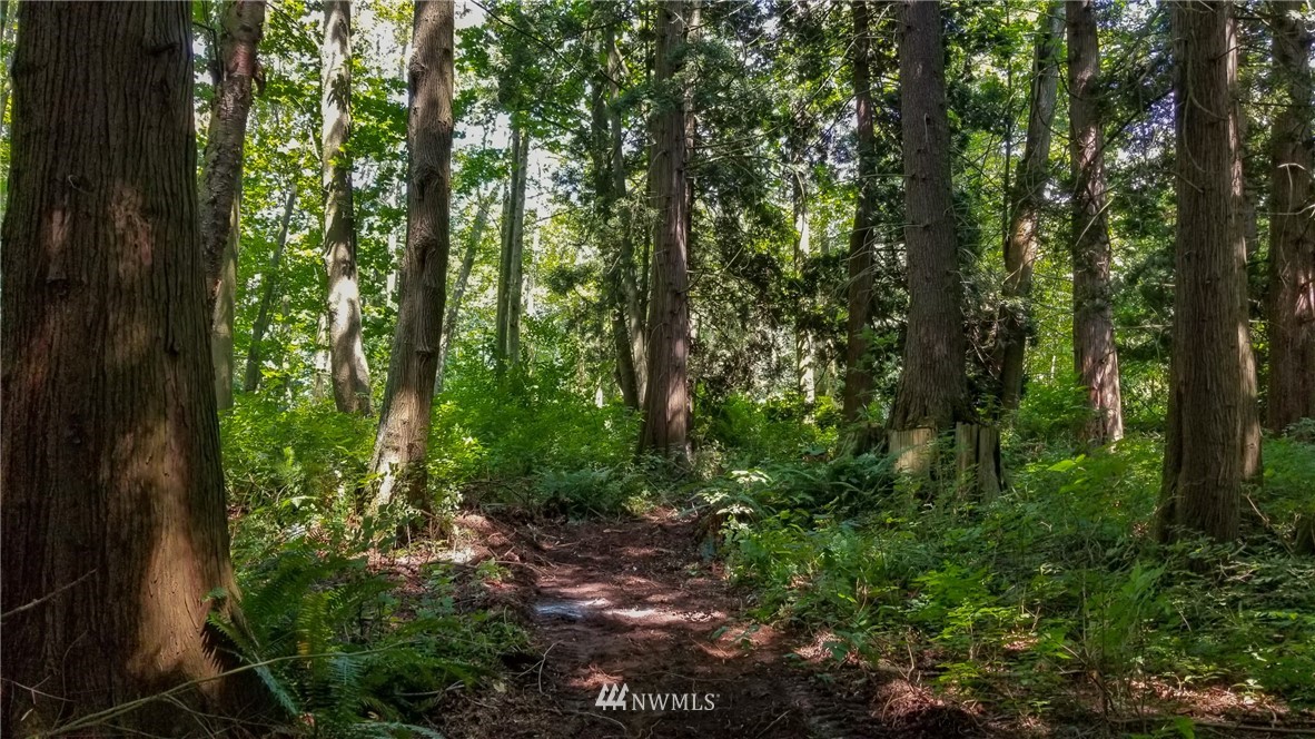 6168 B Kickerville Road Ferndale, WA 98248 - Photo 24 of 26