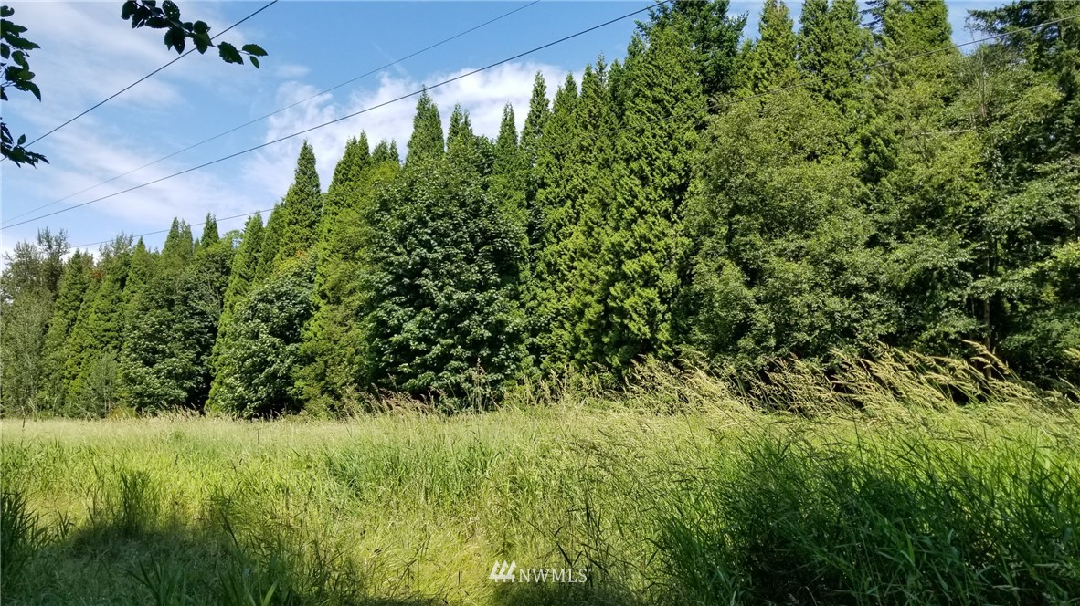 6168 B Kickerville Road Ferndale, WA 98248 - Photo 26 of 26