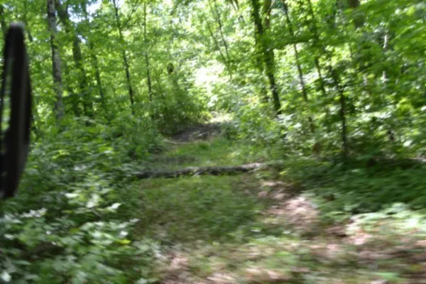 $99,900 | 0 Beauchamp Road, Burkesville, KY 42717