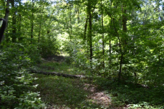 0 Beauchamp Road Burkesville, KY 42717 - Photo 15 of 43